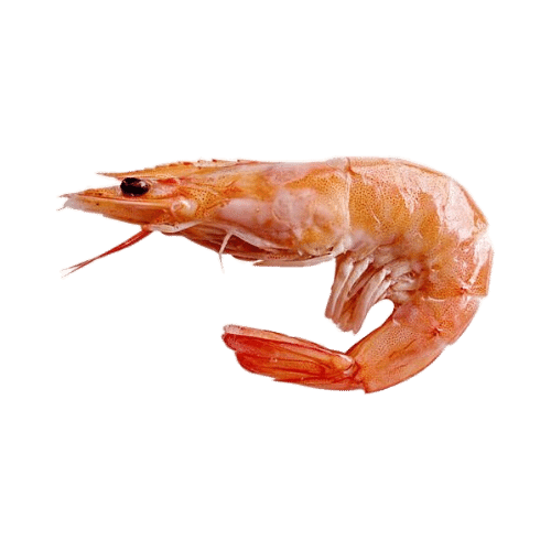 Camarón